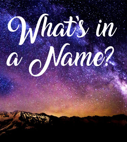 MCCDC: What Is In A Name