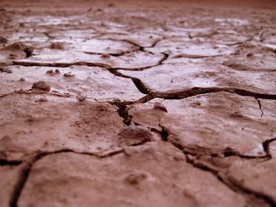 MCCDC:  Mud Wrestling